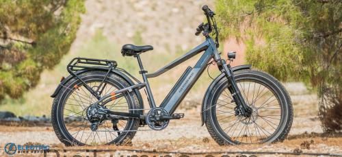 Rad Power Bikes RadRover 6 Plus ficha técnica y opiniones